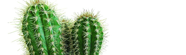 Lean. Agissez là où ça pique